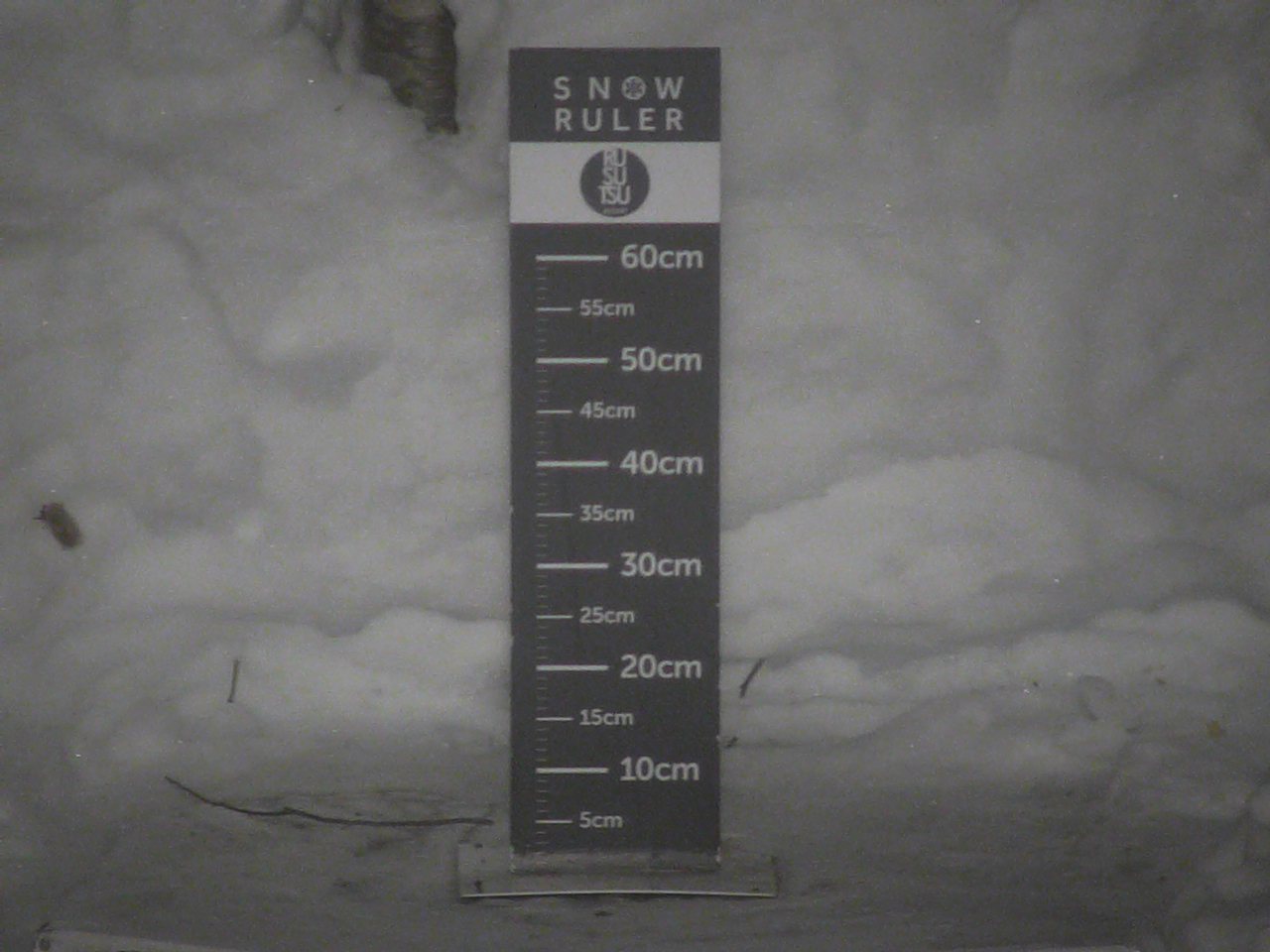 Mt. Isola Snowfall Live