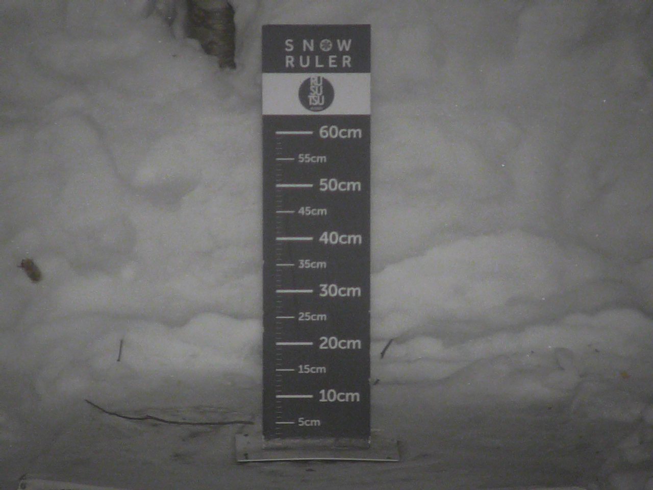 Mt. Isola Snowfall Live