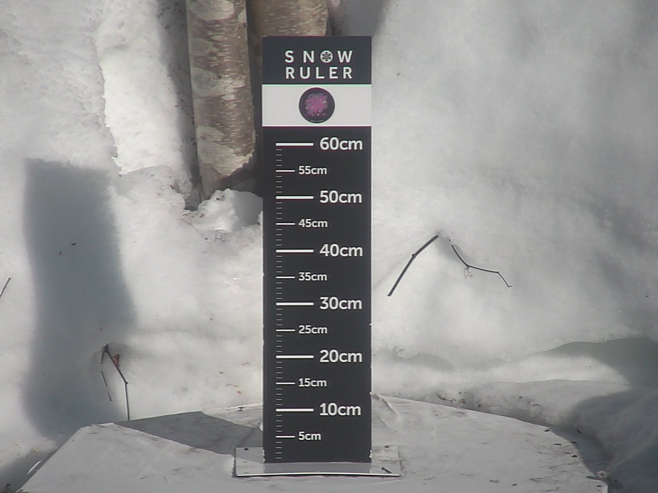 Mt. Isola Snowfall Live