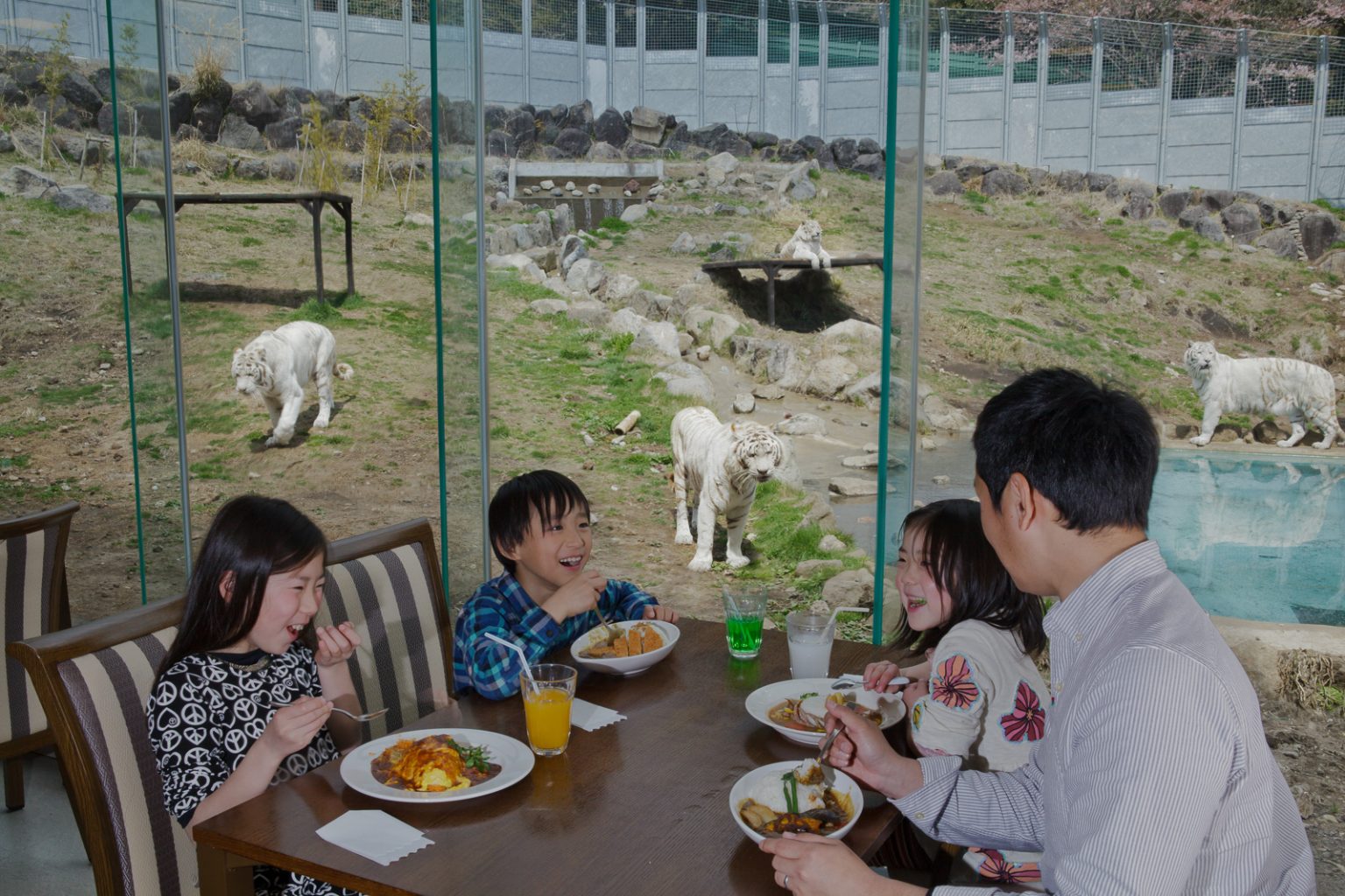 レストランアニマルキングダム 加森観光株式会社 加森観光グループ、ゴルスタ天国